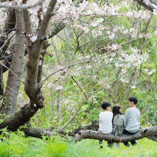 春巨大桜と記念撮影会